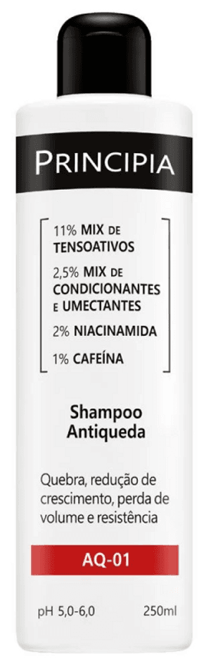 Produto Shampoo antiqueda ac-01 250ml principia foto 1