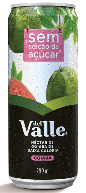 Produto Suco del valle nectar goiaba 290ml foto 1