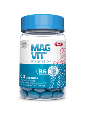 Produto Magvit magnésio + vitamina b6 60 cápsulas foto 1